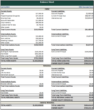 Balance Sheet FFS.png